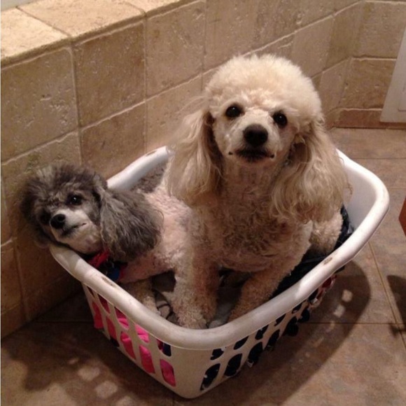 Up to 30% Off entire closet… don’t miss out! Make Me An Offer!! - Picture 8 of 15